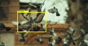 The Ultimate Guide to Choosing the Right Bird Deterrent for Your Property