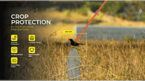 How to Protect Your Crops from Wild Animals: A Complete Guide for Modern Farmers