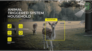 How to Keep Deer Out of Your Yard ?