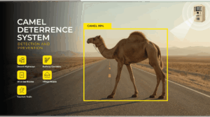 Camel Vehicle Collision: Why It Happens, Why It Kills, and How AI Is Stopping It