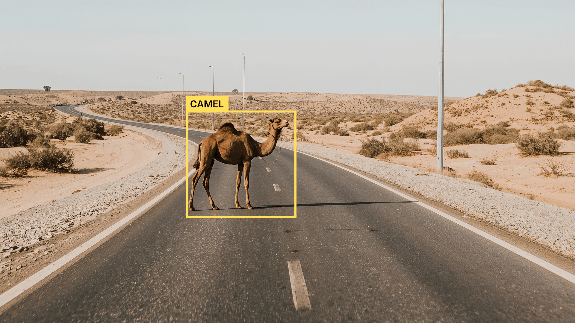 Deterrence System Banner