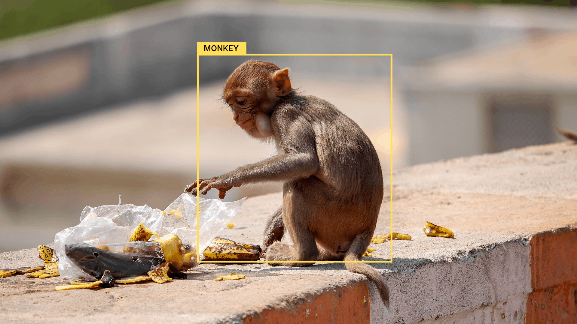 Deterrence System Banner